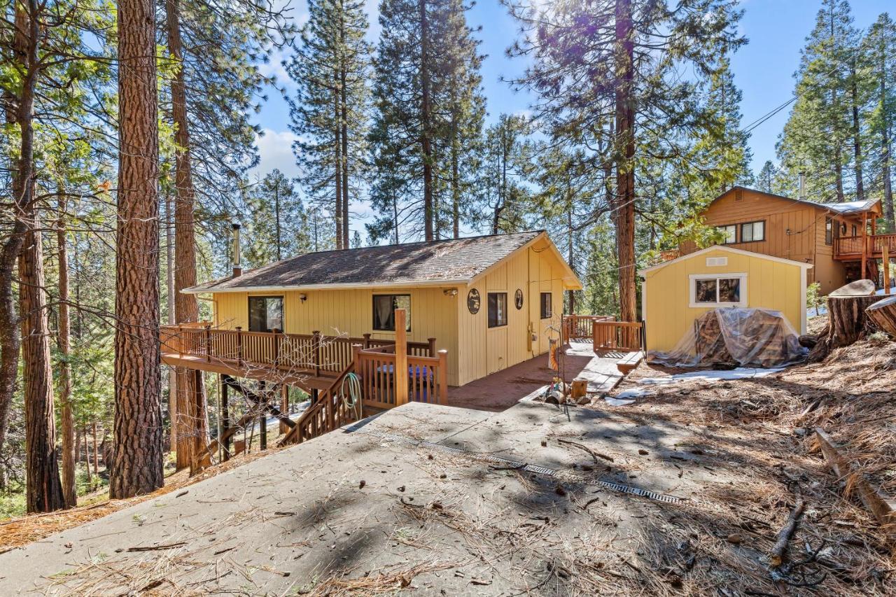 Big Trees, Little Cabin Arnold Exterior photo