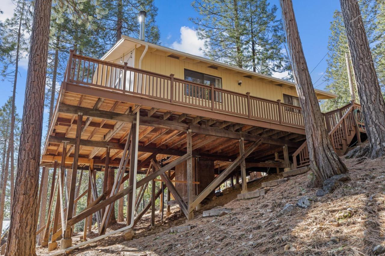 Big Trees, Little Cabin Arnold Exterior photo